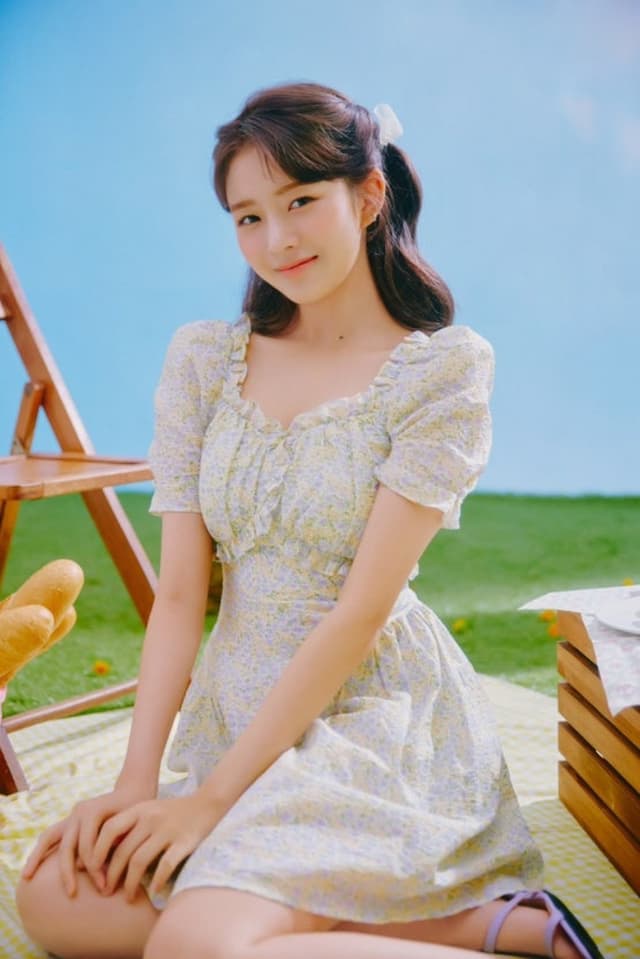 레이