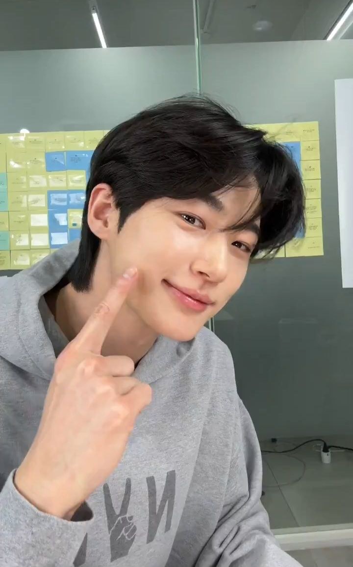 Byeon Woo-seok (변우석)