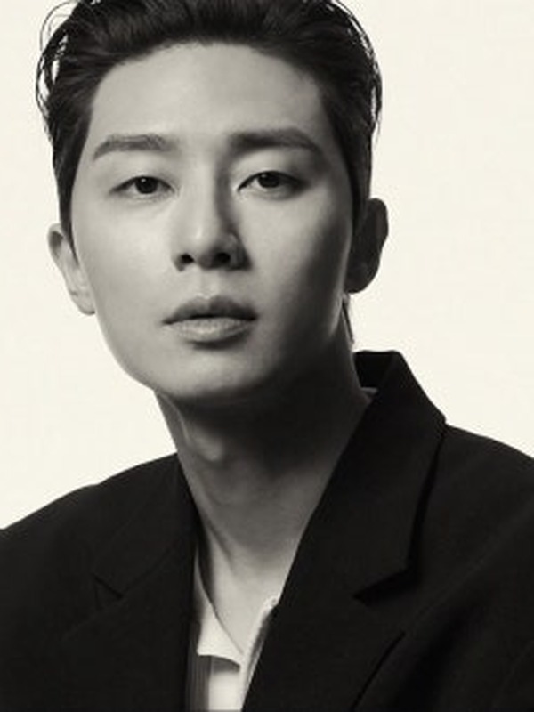 Park Seo-joon (박서준)