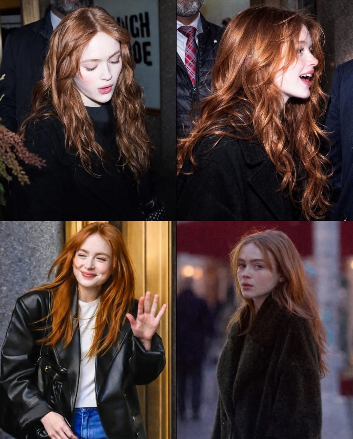 세이디 싱크 (Sadie Sink)
