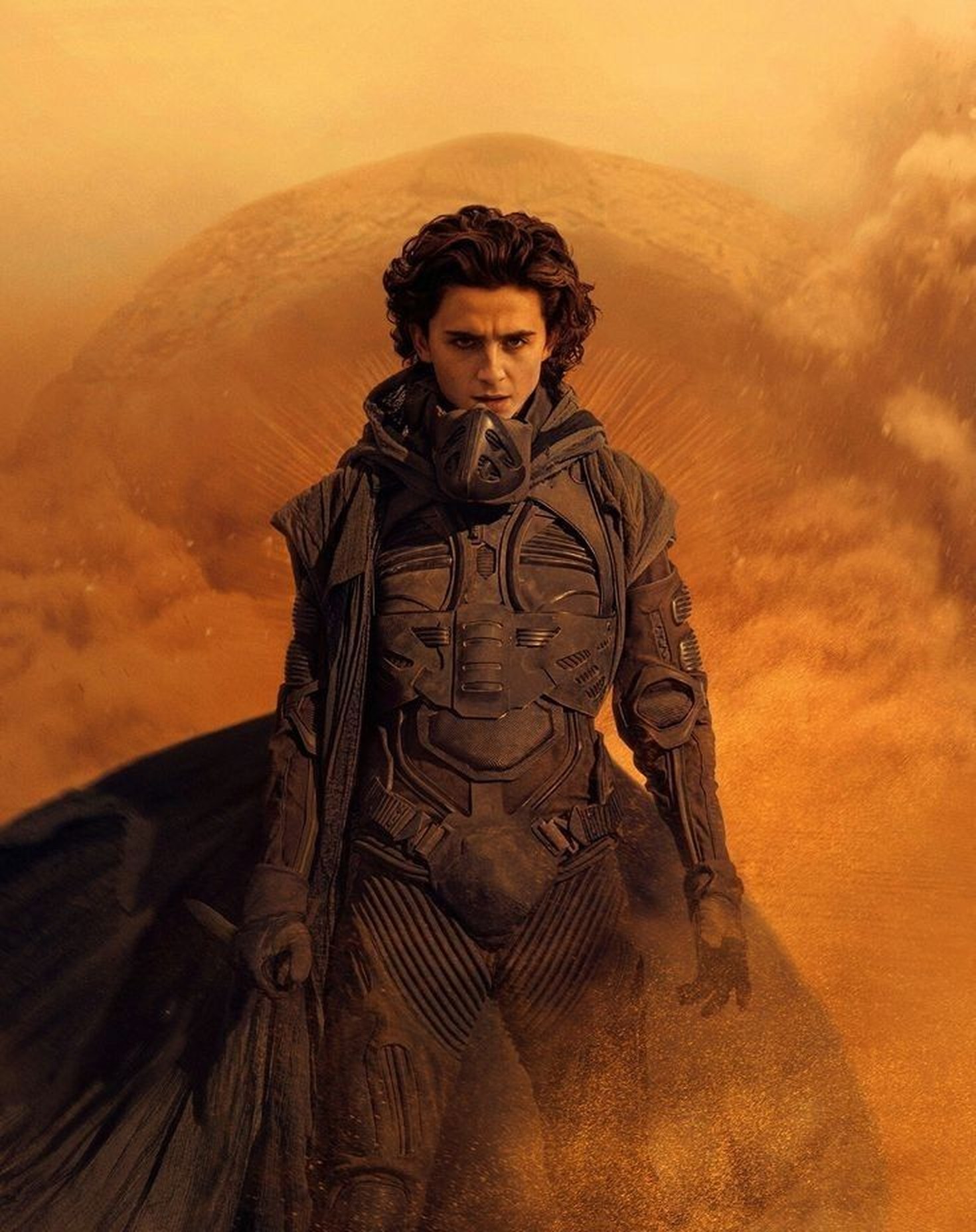 Timothée Chalamet (티모시 샬라메)