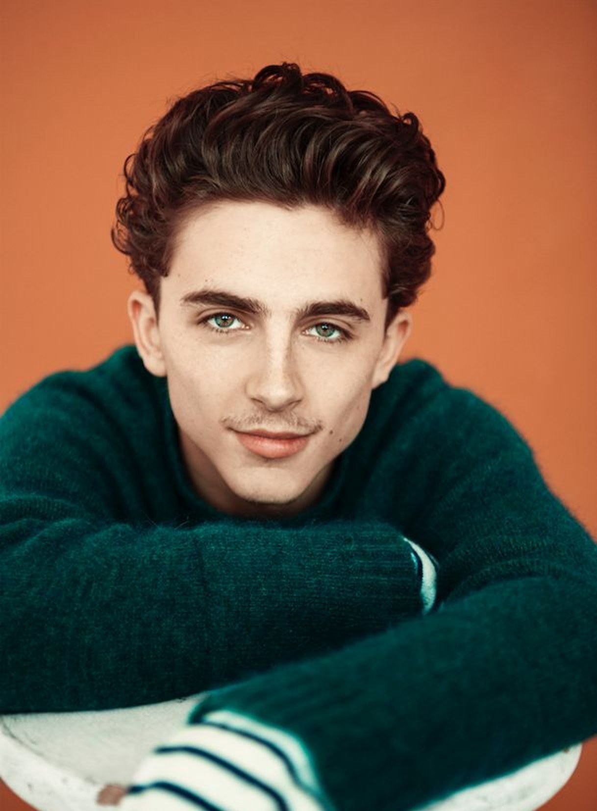 Timothée Chalamet (티모시 샬라메)