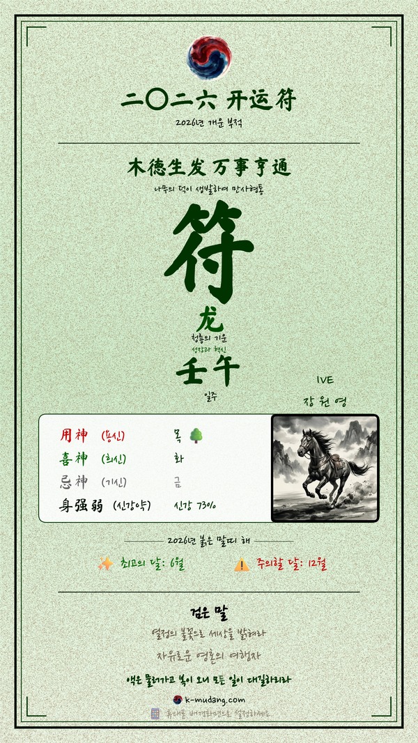 장원영 수호 부적 — K-무당